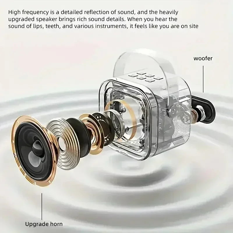 K12 Portable Bluetooth Karaoke Machine – PA Speaker with Wireless Microphones for Home & Kids