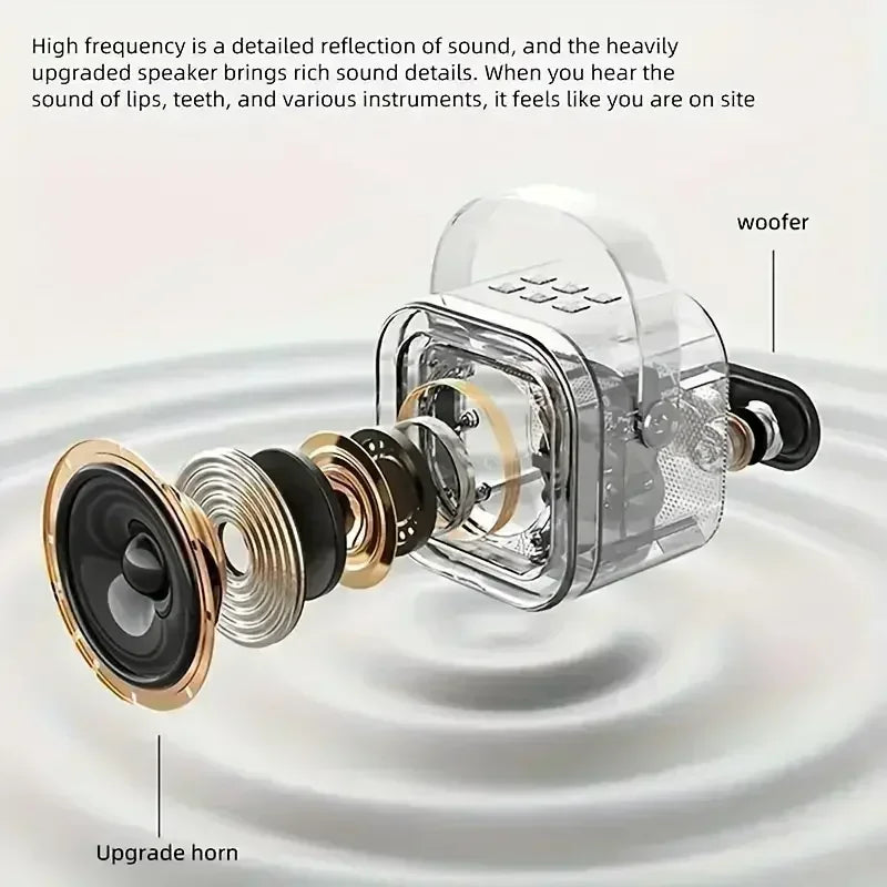 K12 Portable Bluetooth Karaoke Machine – PA Speaker with Wireless Microphones for Home & Kids